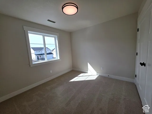 Neutral-toned carpeting, white window trim, contemporary ceiling light fixture, and a paneled interior door with dark hardware
