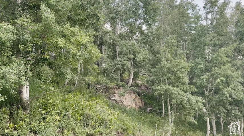 Unit 29/29a, Fairview, Utah 84629