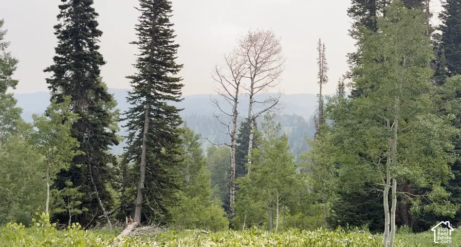 Mountain Tops in the Distance