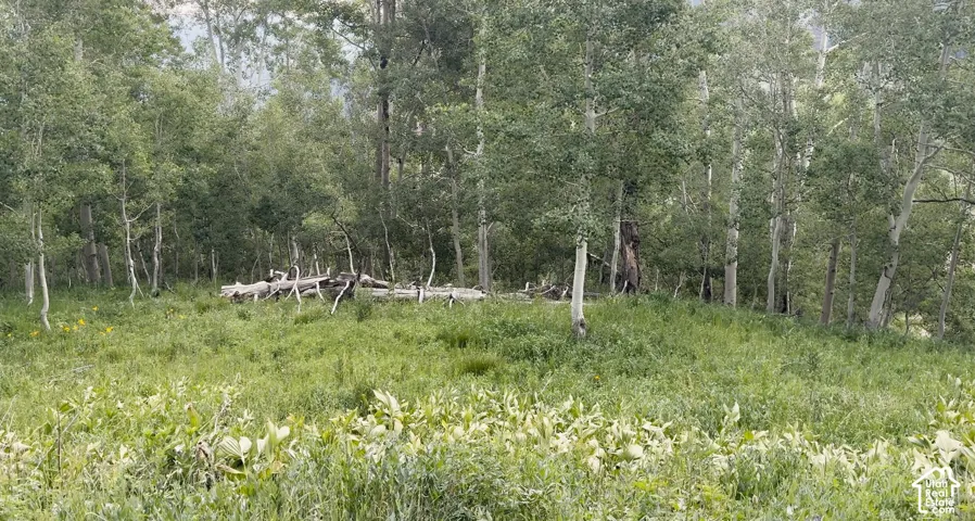 Possible Development site