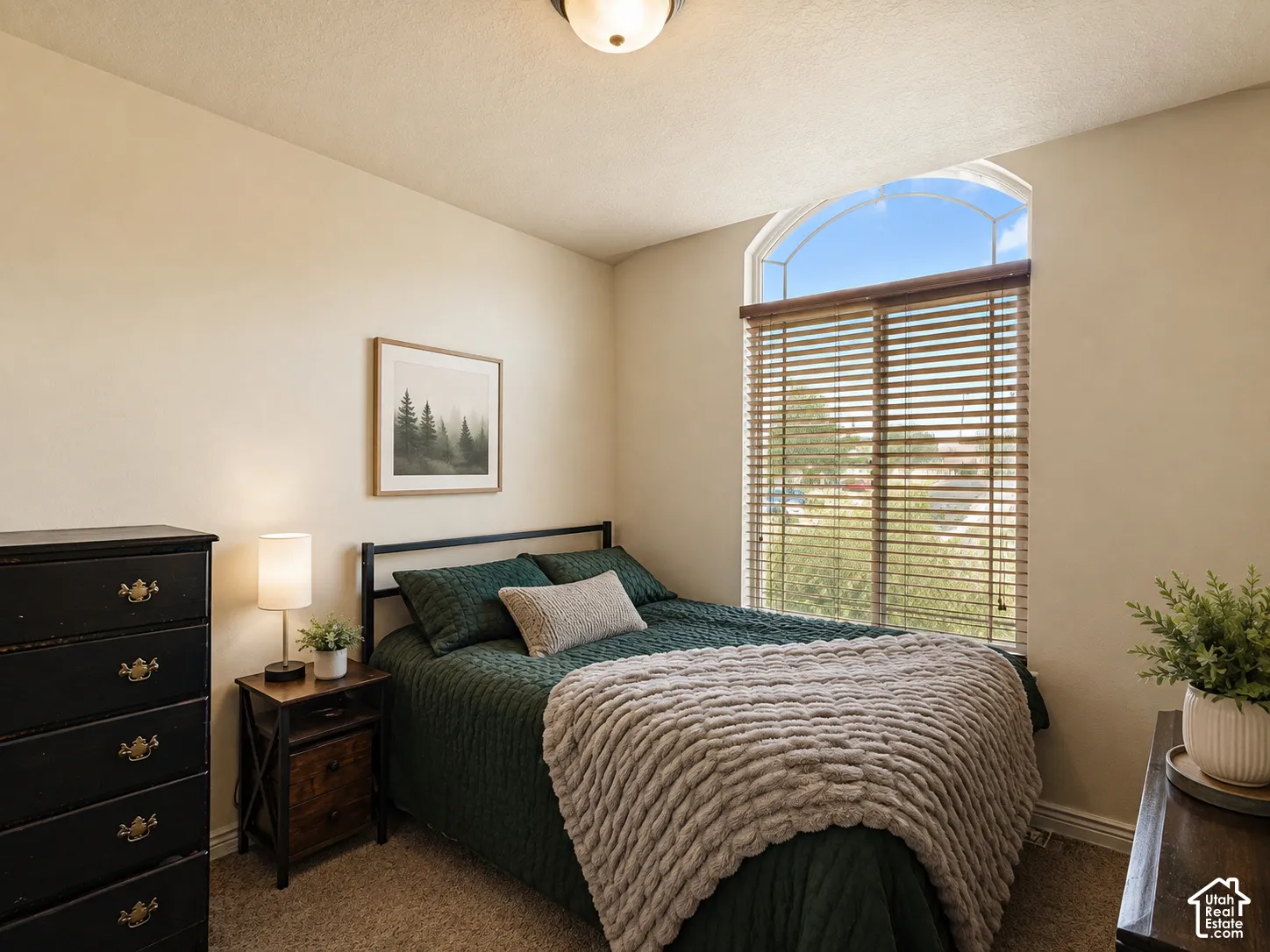 Arched window with wood-finish blinds, neutral wall paint, and textured carpeting