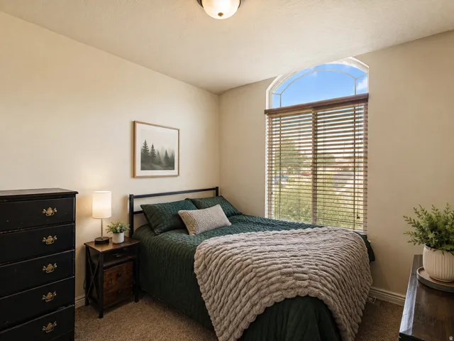 Arched window with wood-finish blinds, neutral wall paint, and textured carpeting