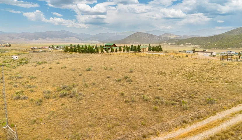 Expansive natural landscape featuring dry grasses, scattered shrubs, and a distant residential cluster