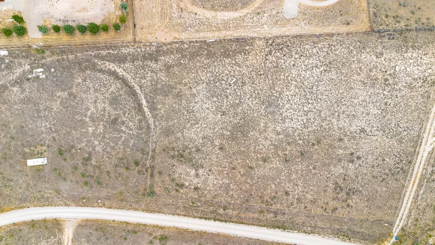 Expansive land parcel featuring natural ground cover, established perimeter trees, and a visible unpaved road