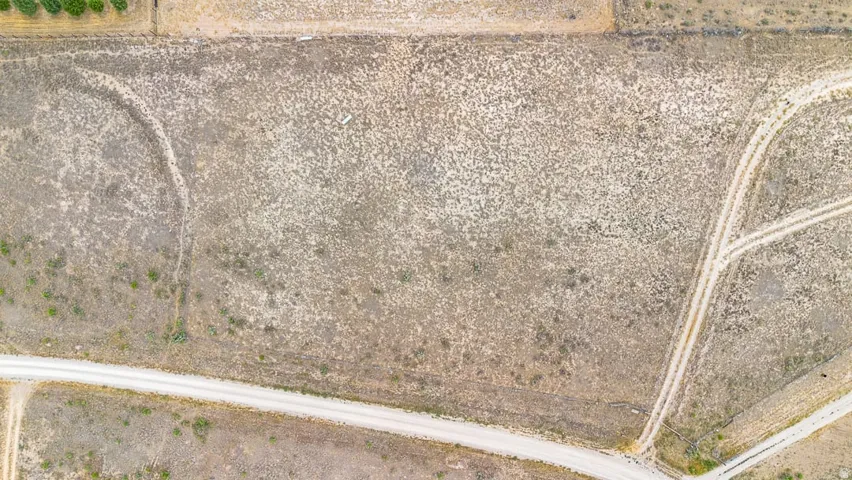 Extensive land parcel featuring natural ground cover, established dirt roads, and agricultural borders