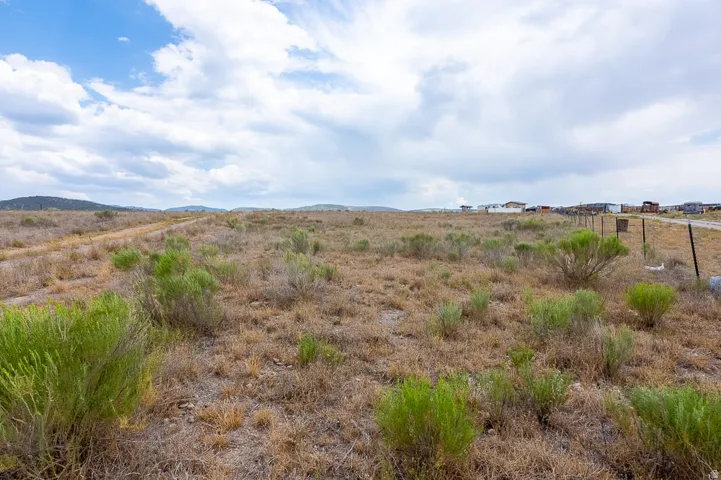Expansive undeveloped land featuring natural vegetation and distant structures