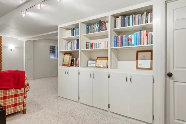 Built-in shelving with base cabinetry, track lighting, light-colored carpeting, a wall sconce, and a two-panel interior door with dark hardware