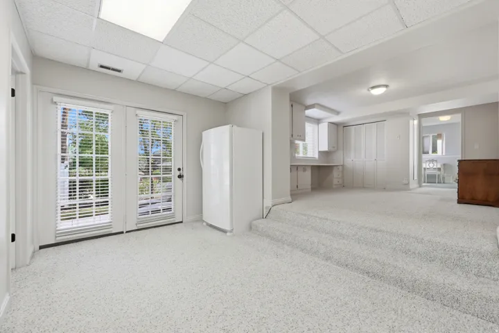 Lower-level space featuring light-toned carpeting and double glass-paneled doors