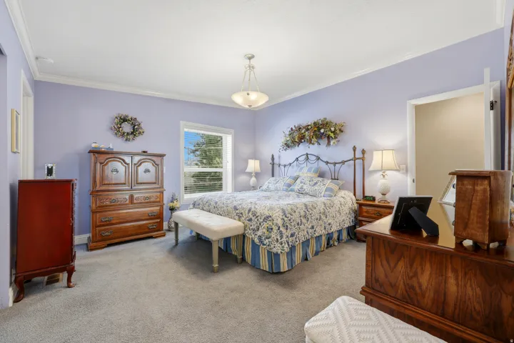 Spacious room featuring carpeting, a single window, crown molding, and a flush mount light fixture