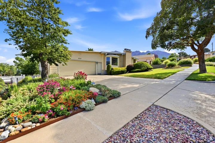 Landscaped front yard with a concrete driveway, mature trees, and a decorative rock garden border