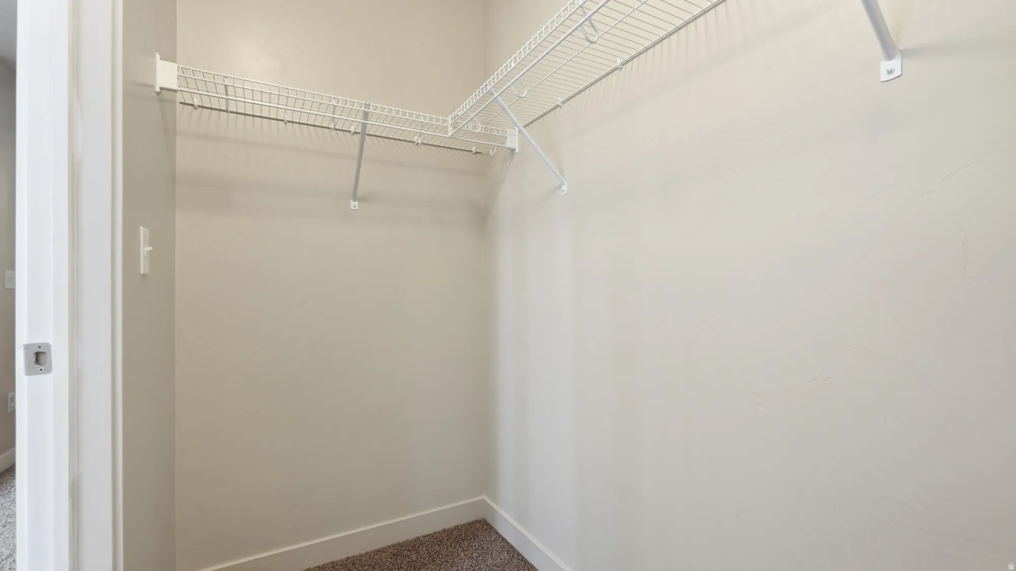Walk-in closet featuring wire shelving, wire hanging rods, neutral wall paint, white baseboards, and carpet flooring