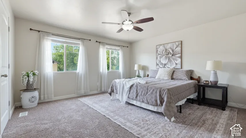 Spacious bedroom featuring neutral carpeting, two large windows, a ceiling fan with integrated lighting, and a solid core door