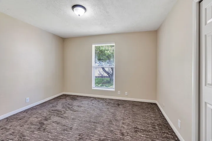 Neutral wall color, textured carpet, window with blinds, overhead flush mount light fixture, and a paneled door