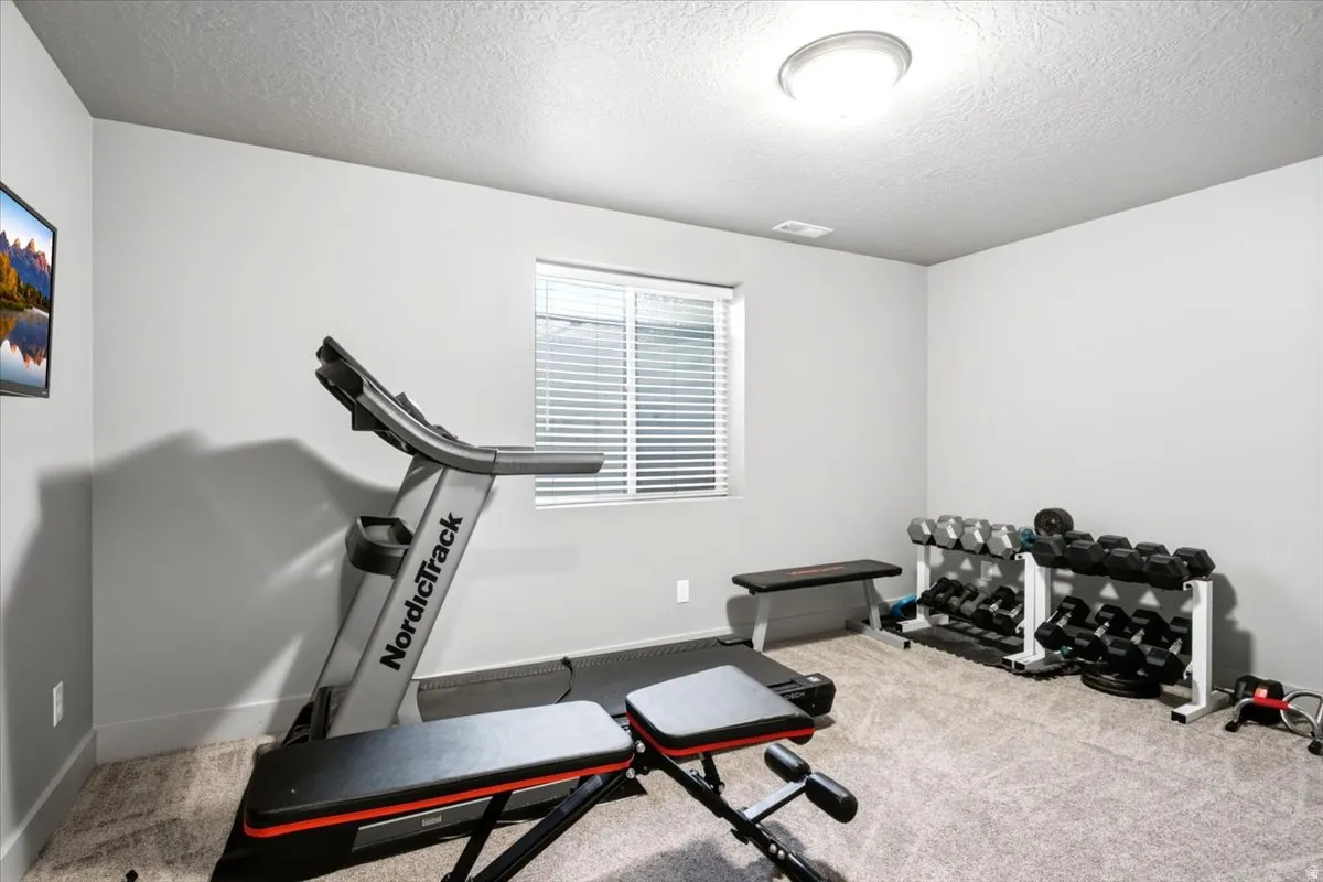 Spacious room featuring neutral carpeting, light gray walls, a single window with horizontal blinds, and a flush-mount ceiling light fixture