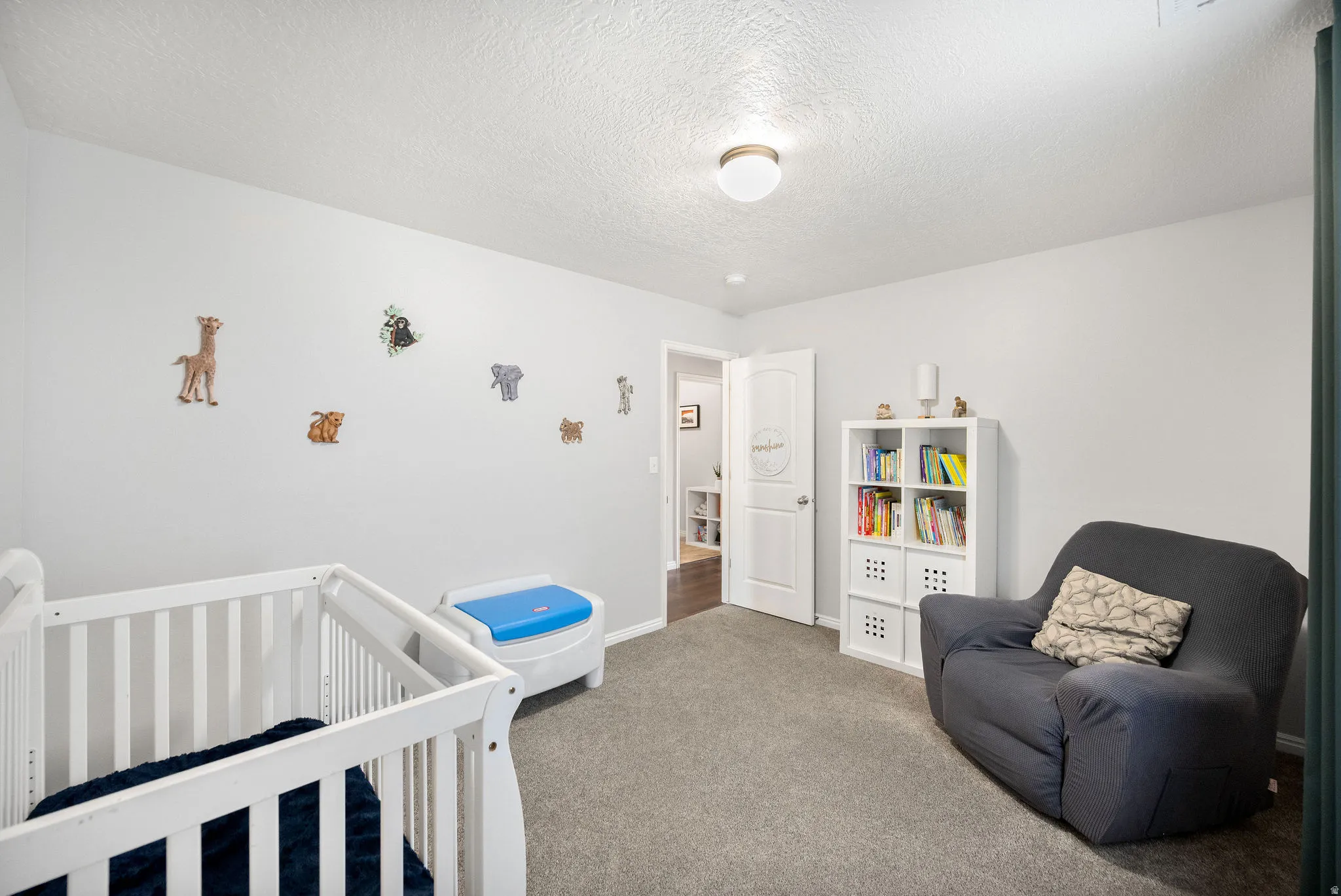 Carpeted room featuring light gray walls, a white paneled door, and a flush mount ceiling light fixture