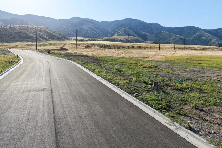 Paved road with concrete curbing, bordered by undeveloped land and distant mountains