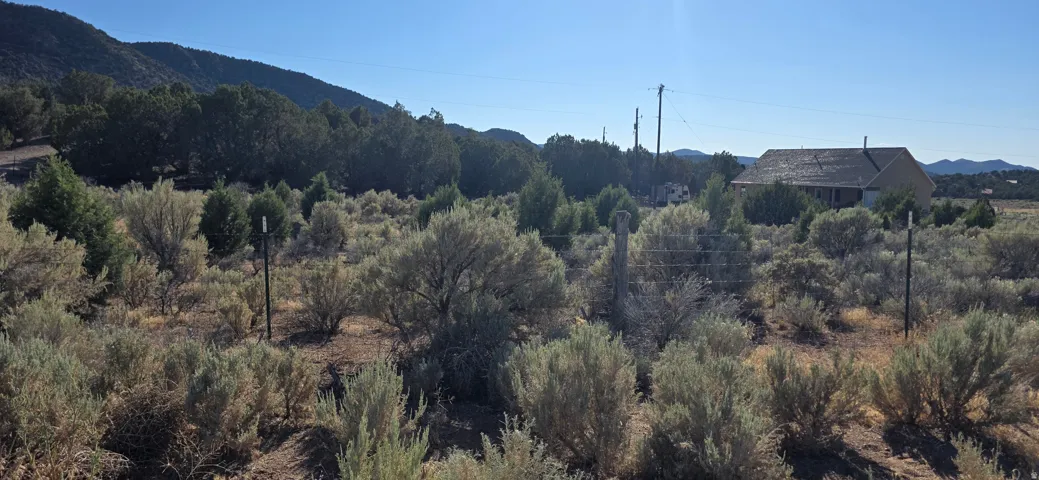 Expansive lot featuring natural sagebrush landscaping and mature evergreen trees