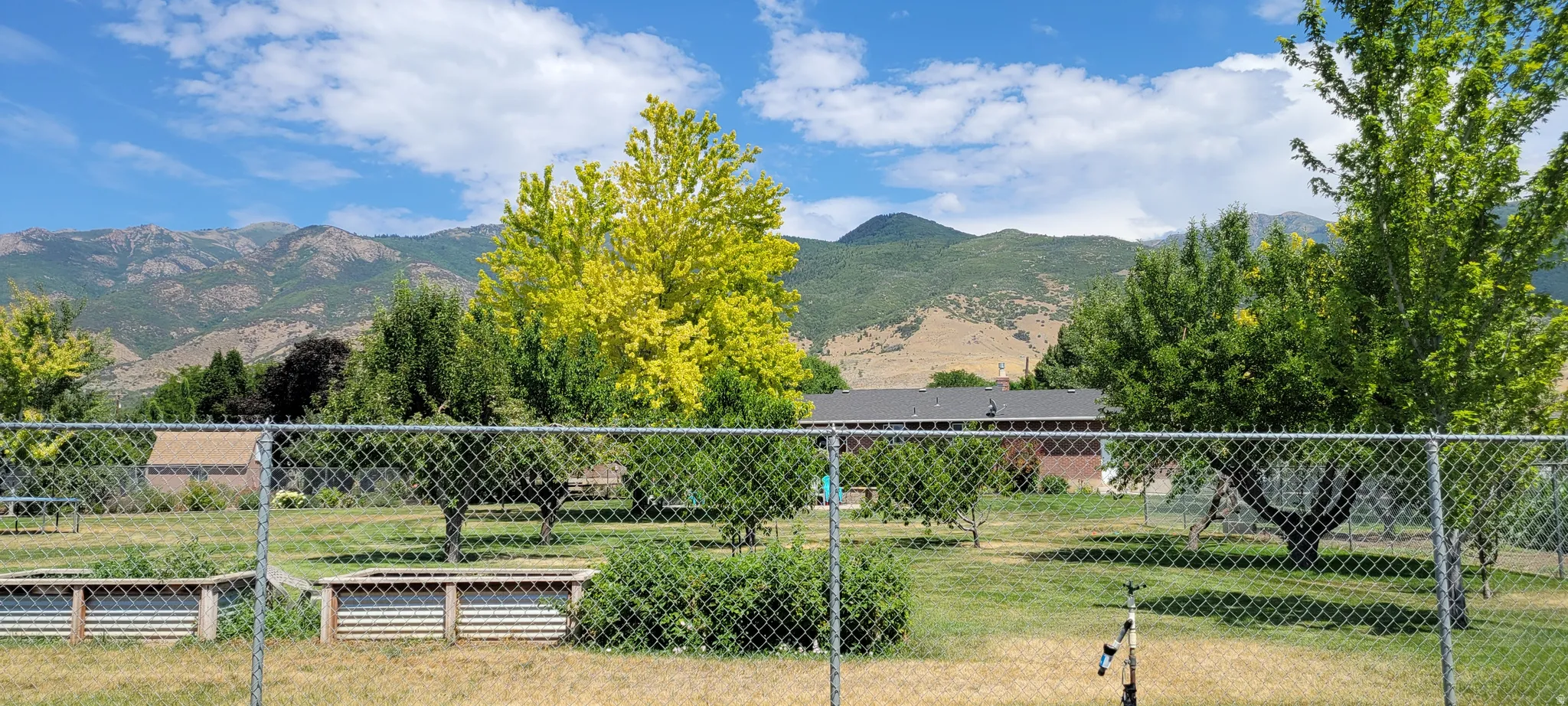 Expansive fenced yard with raised garden beds and mature trees