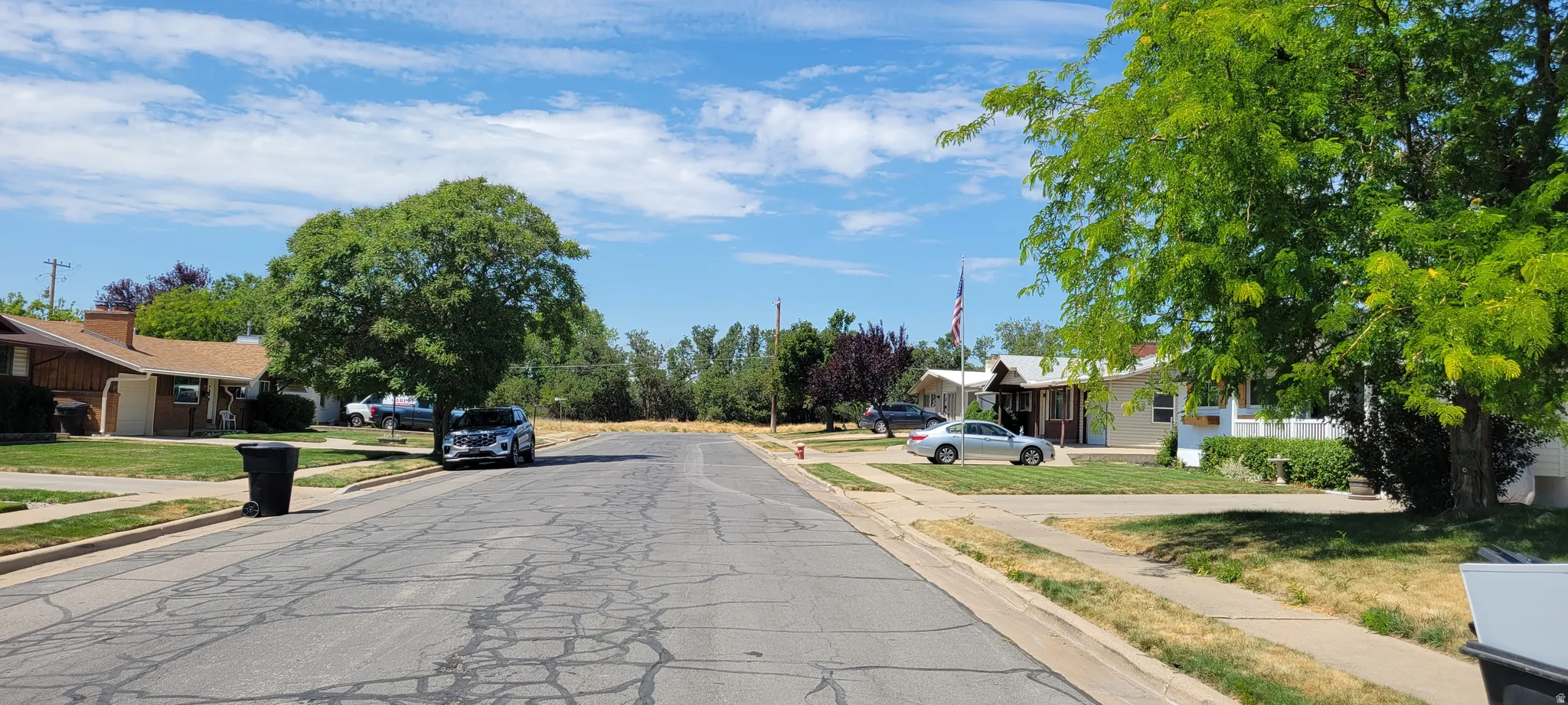 Residential street with mature trees and established homes