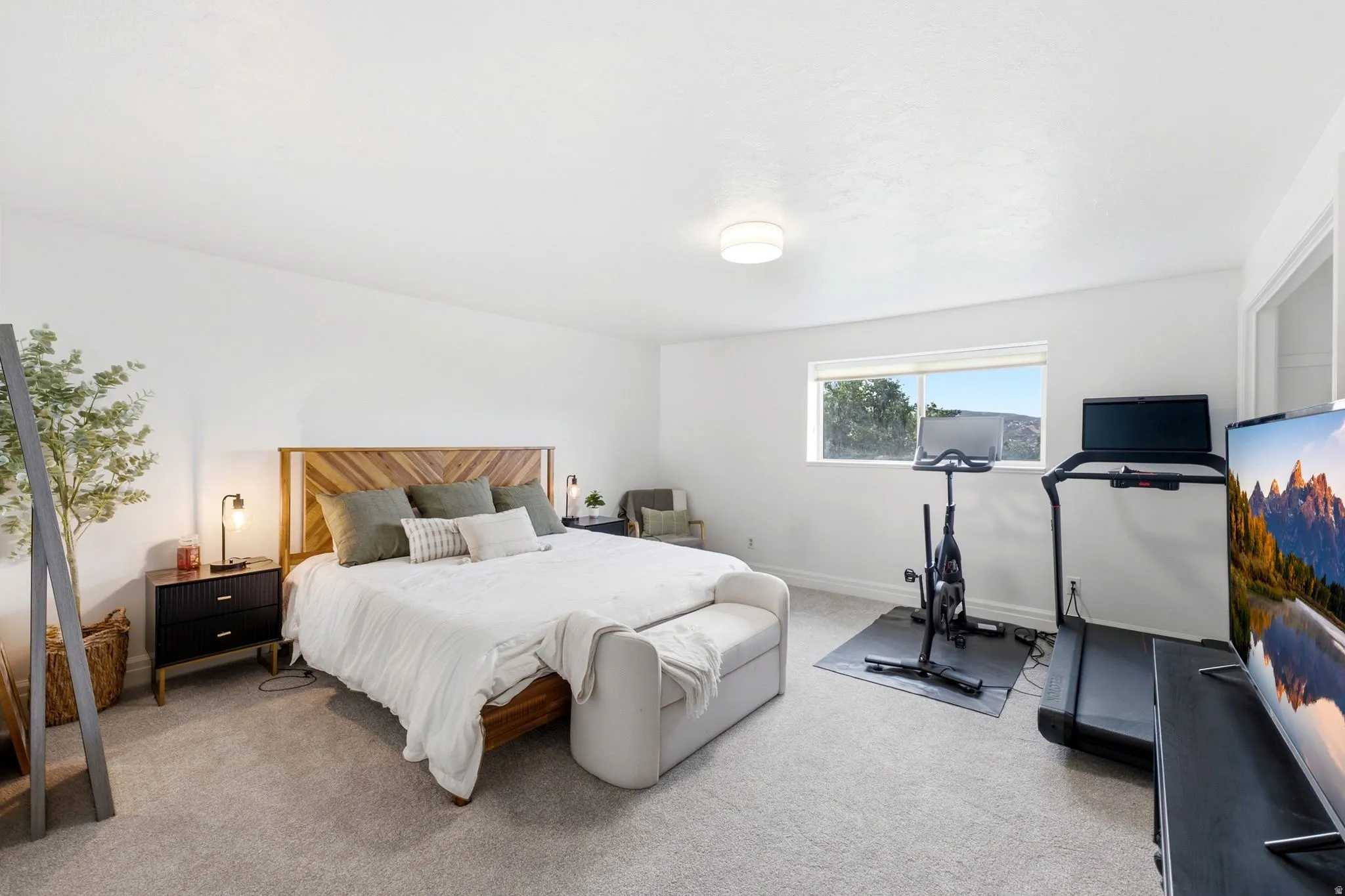 Bright room with light grey carpeting and white walls