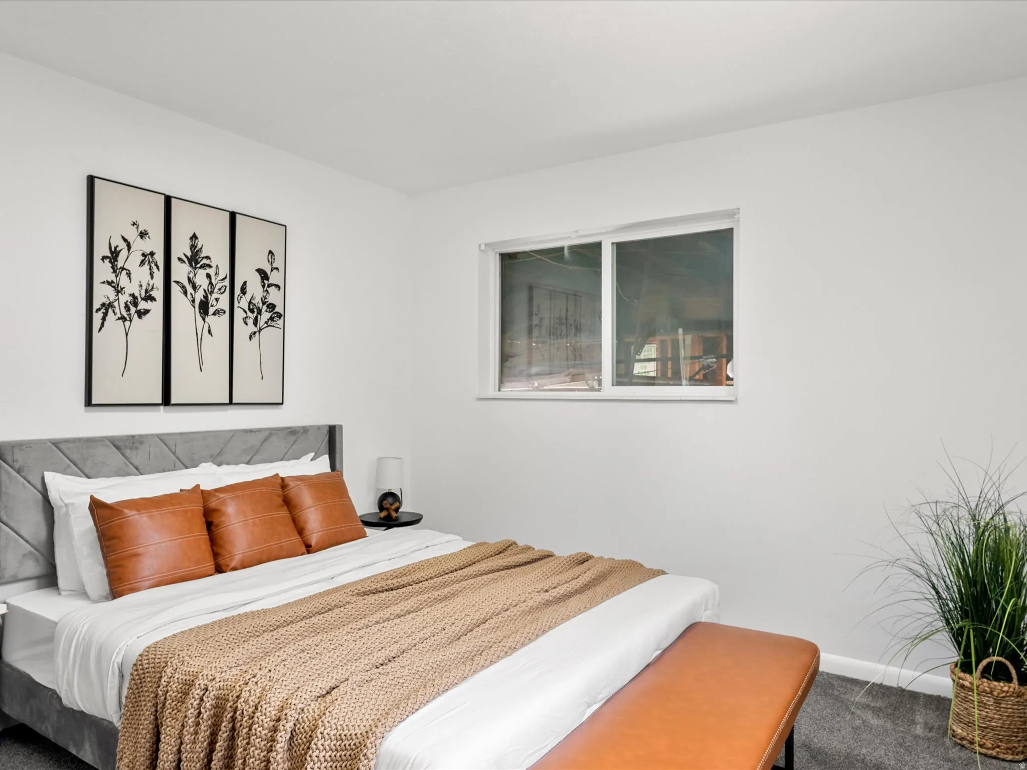 Crisp white walls frame this bedroom space featuring grey carpet flooring