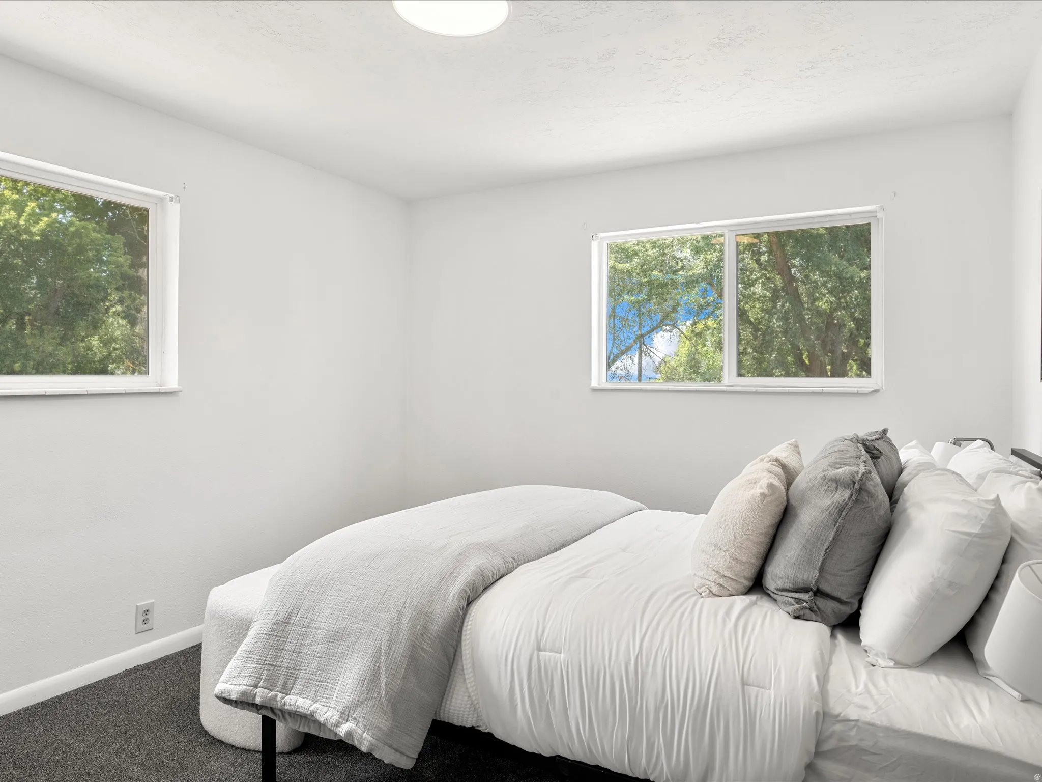 White-painted interior room featuring two windows and dark grey carpeting