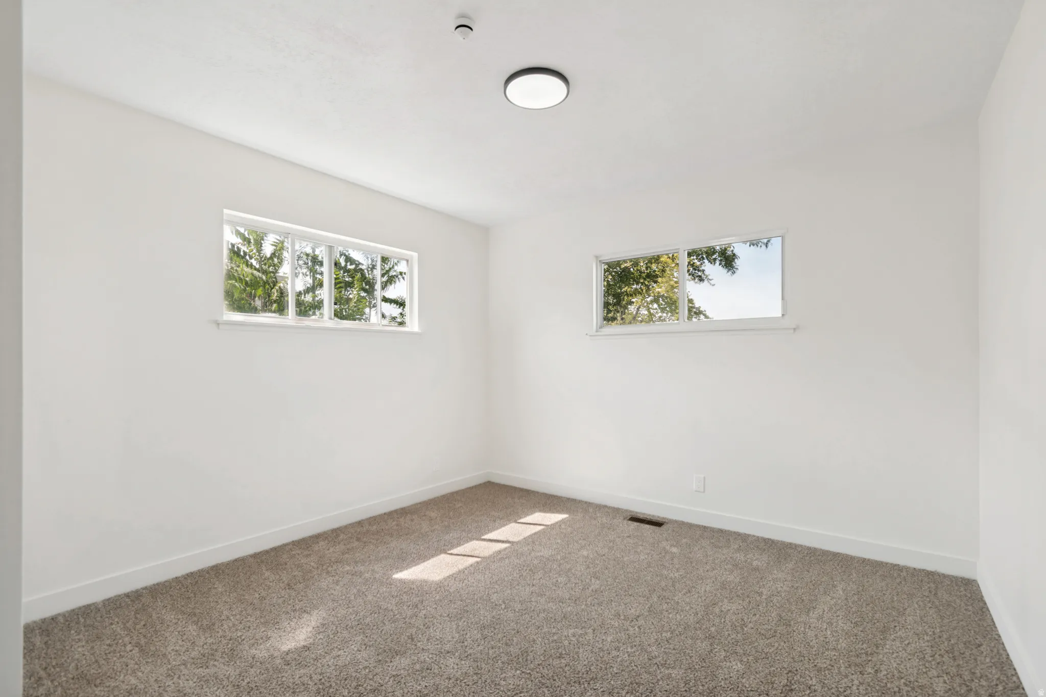 Neutral-toned carpet flooring with white baseboards, two windows, and a flush-mount ceiling light fixture