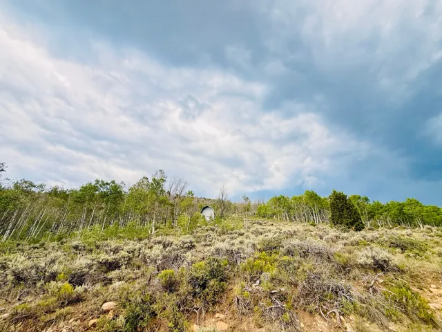 Unit N 89, Spanish Fork, Utah 84660