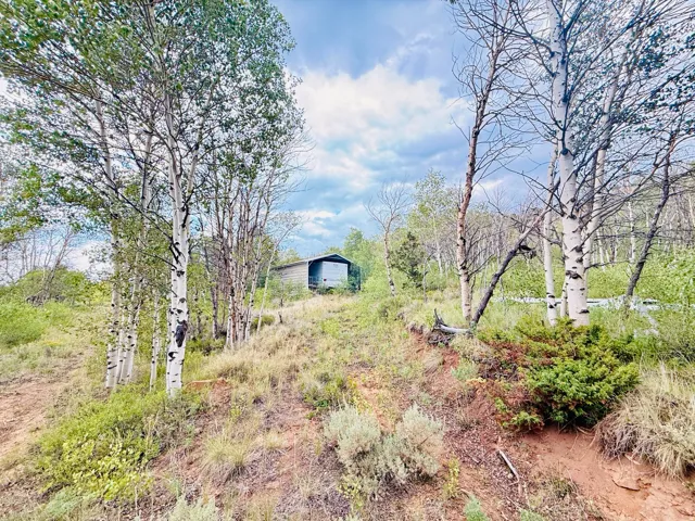 Unit N 89, Spanish Fork, Utah 84660