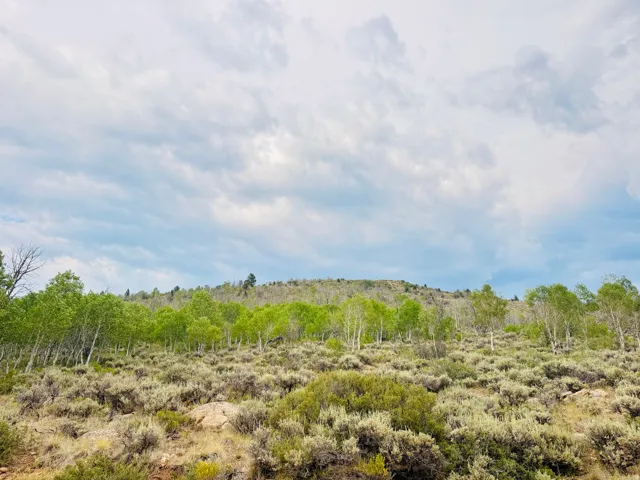 Unit N 89, Spanish Fork, Utah 84660