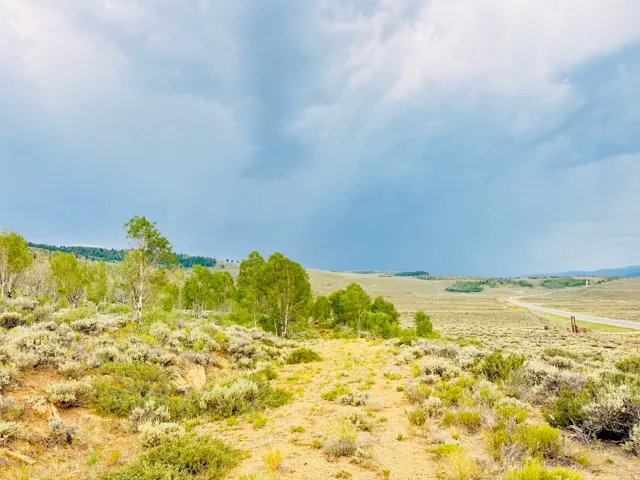 Unit N 89, Spanish Fork, Utah 84660