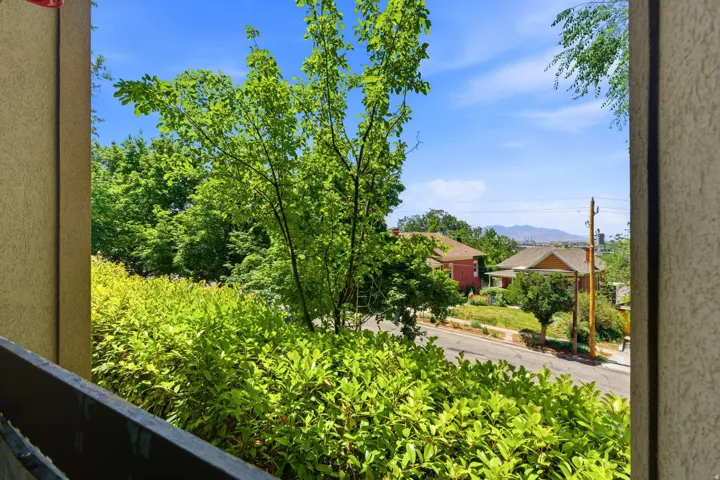 Lush green foliage and mature trees frame a residential street with distant mountain peaks under a clear blue sky