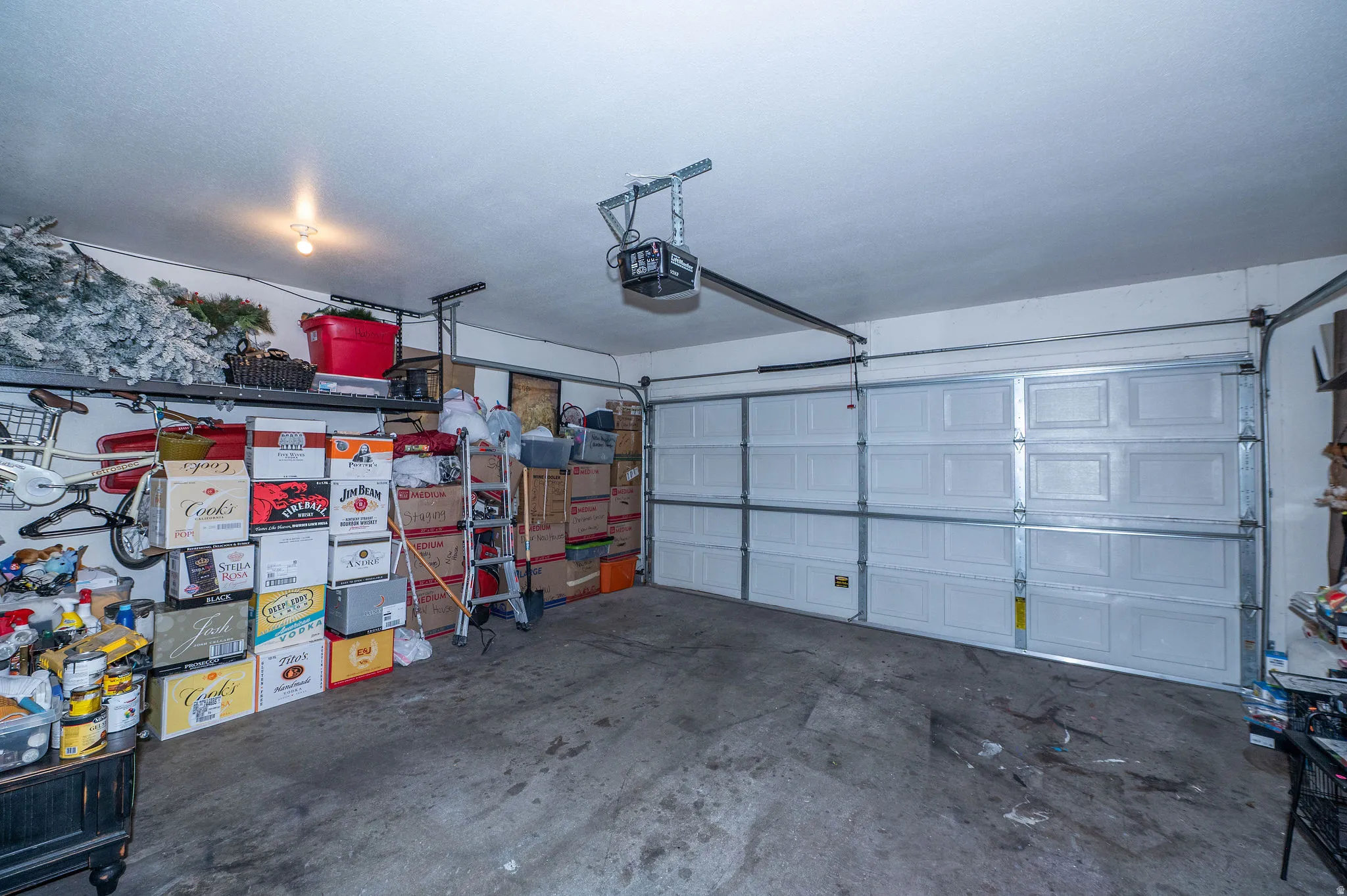 Two-car garage featuring a white panel door and concrete flooring