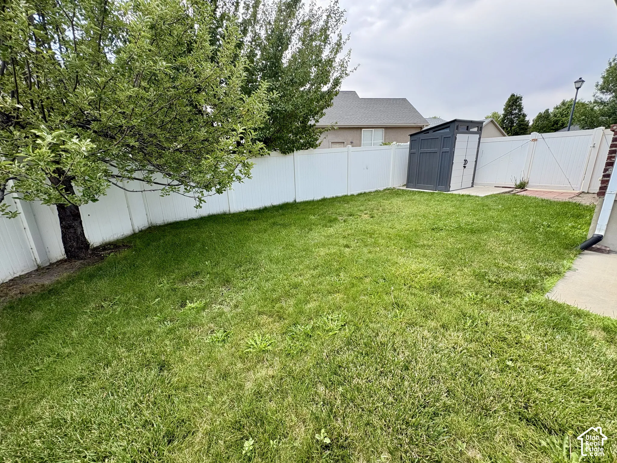 Expansive grassy yard enclosed by white privacy fencing, featuring a mature Apple tree and a two-tone storage shed