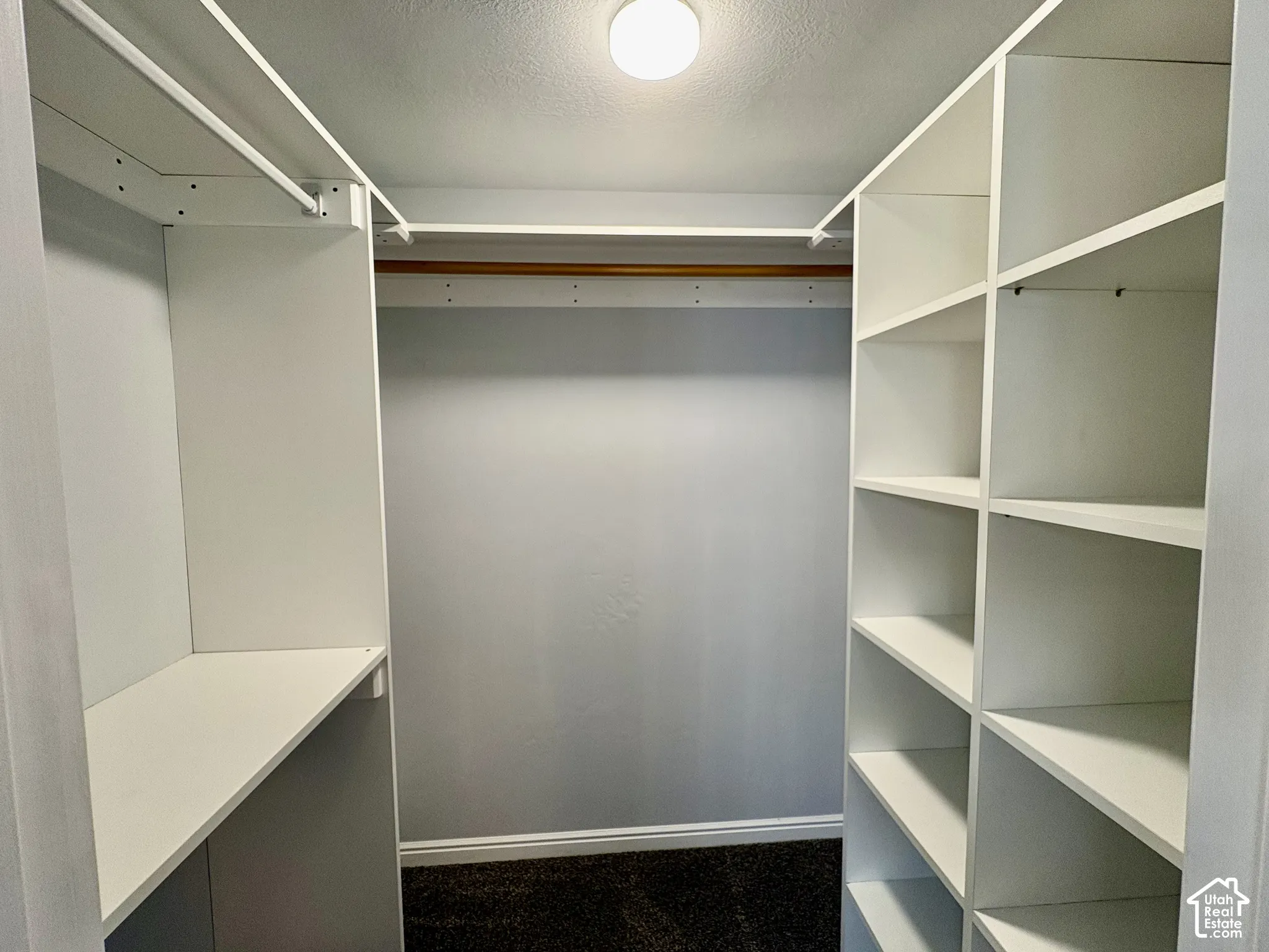 Walk-in closet featuring white built-in shelving, hanging rods, and dark carpet flooring