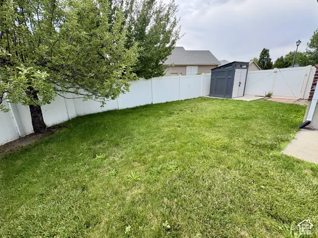 Expansive grassy yard enclosed by white privacy fencing, featuring a mature Apple tree and a two-tone storage shed