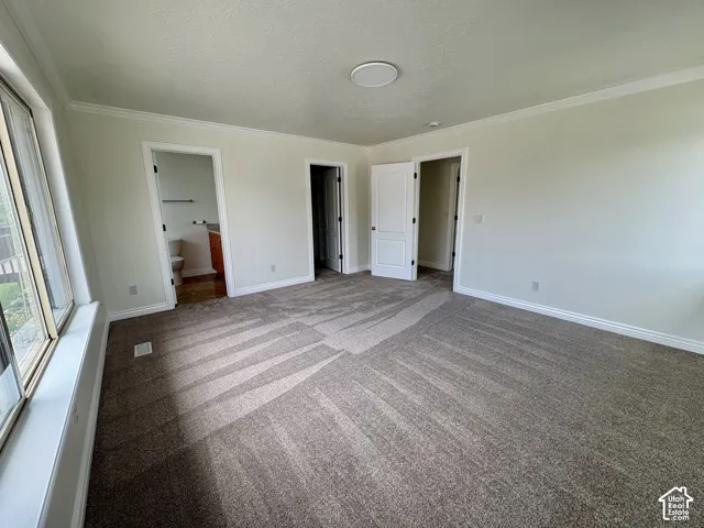 Spacious room featuring neutral carpeting, a large window, and multiple interior doors