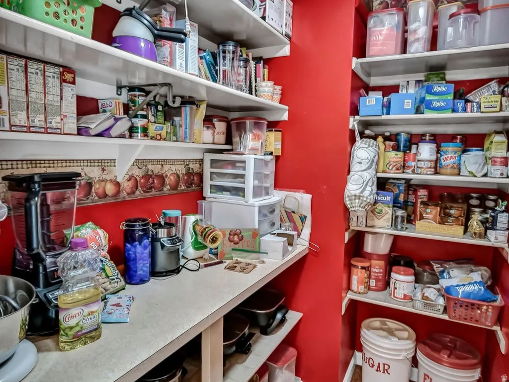 Spacious pantry featuring extensive shelving, countertop space, wood-finish flooring, and bright wall finishes