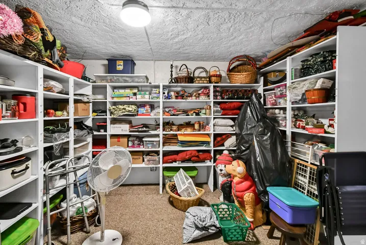 Comprehensive storage room featuring extensive built-in shelving units, a textured ceiling, and an overhead flush-mount light fixture