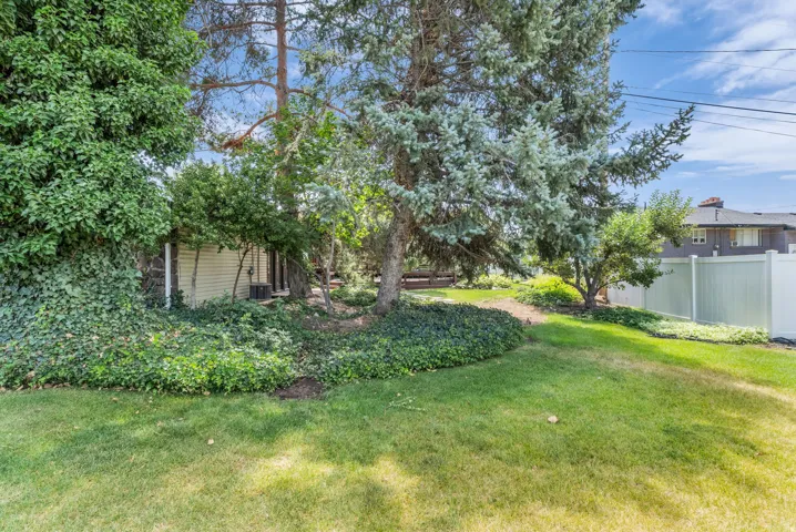 Expansive outdoor area featuring mature trees and established ground cover
