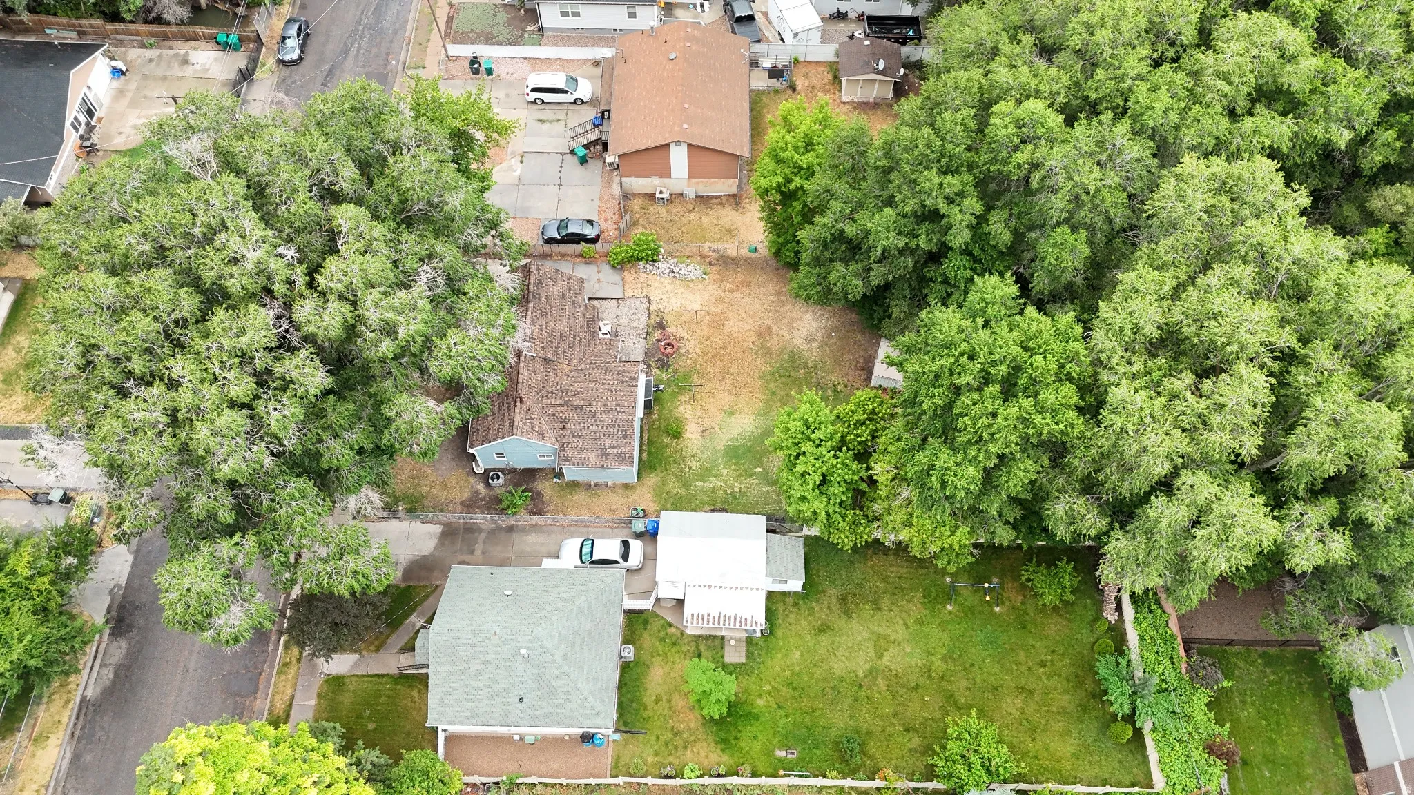 Expansive parcel featuring mature trees.