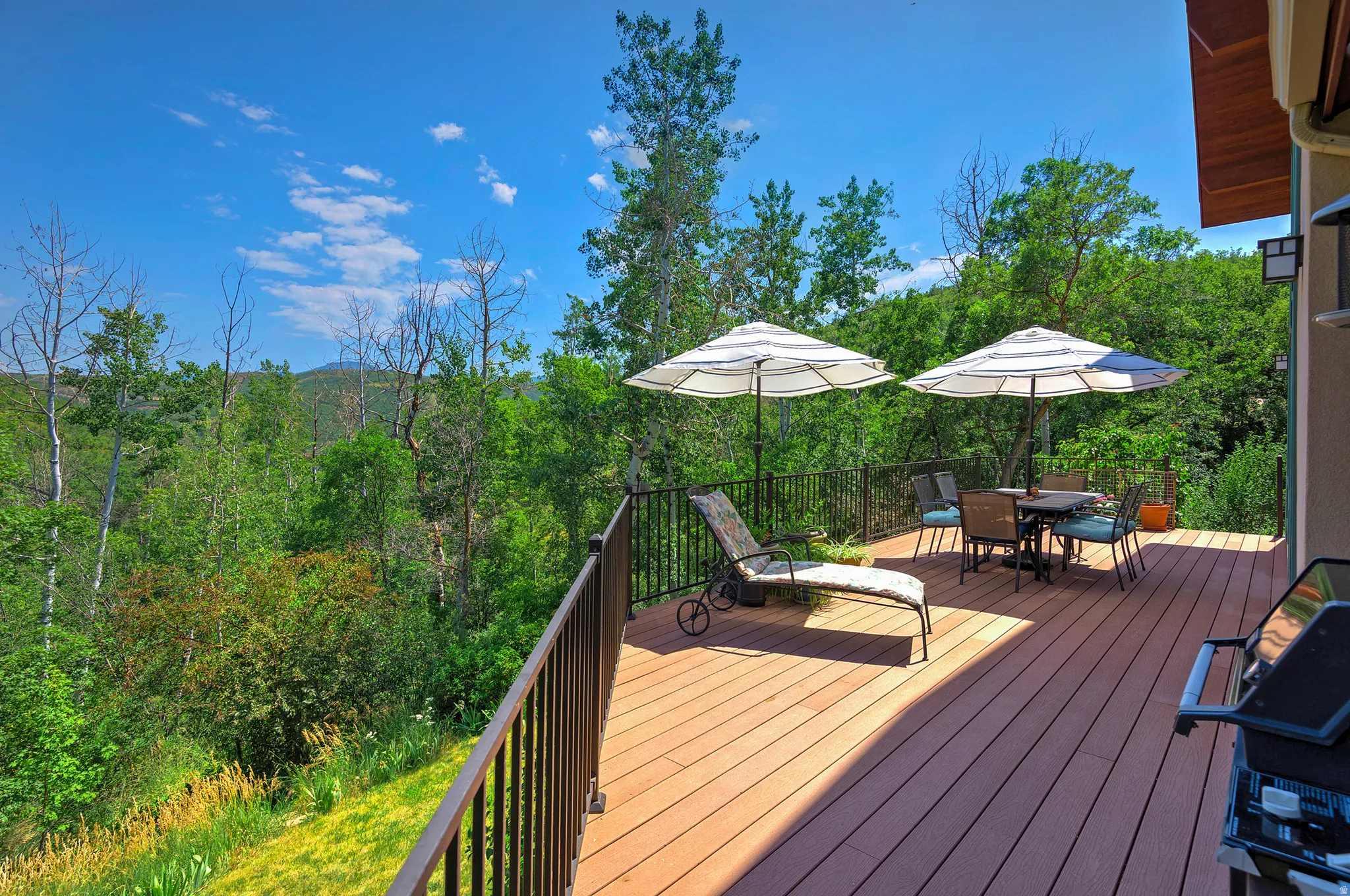 Expansive outdoor deck featuring wood-finish flooring and black metal railings