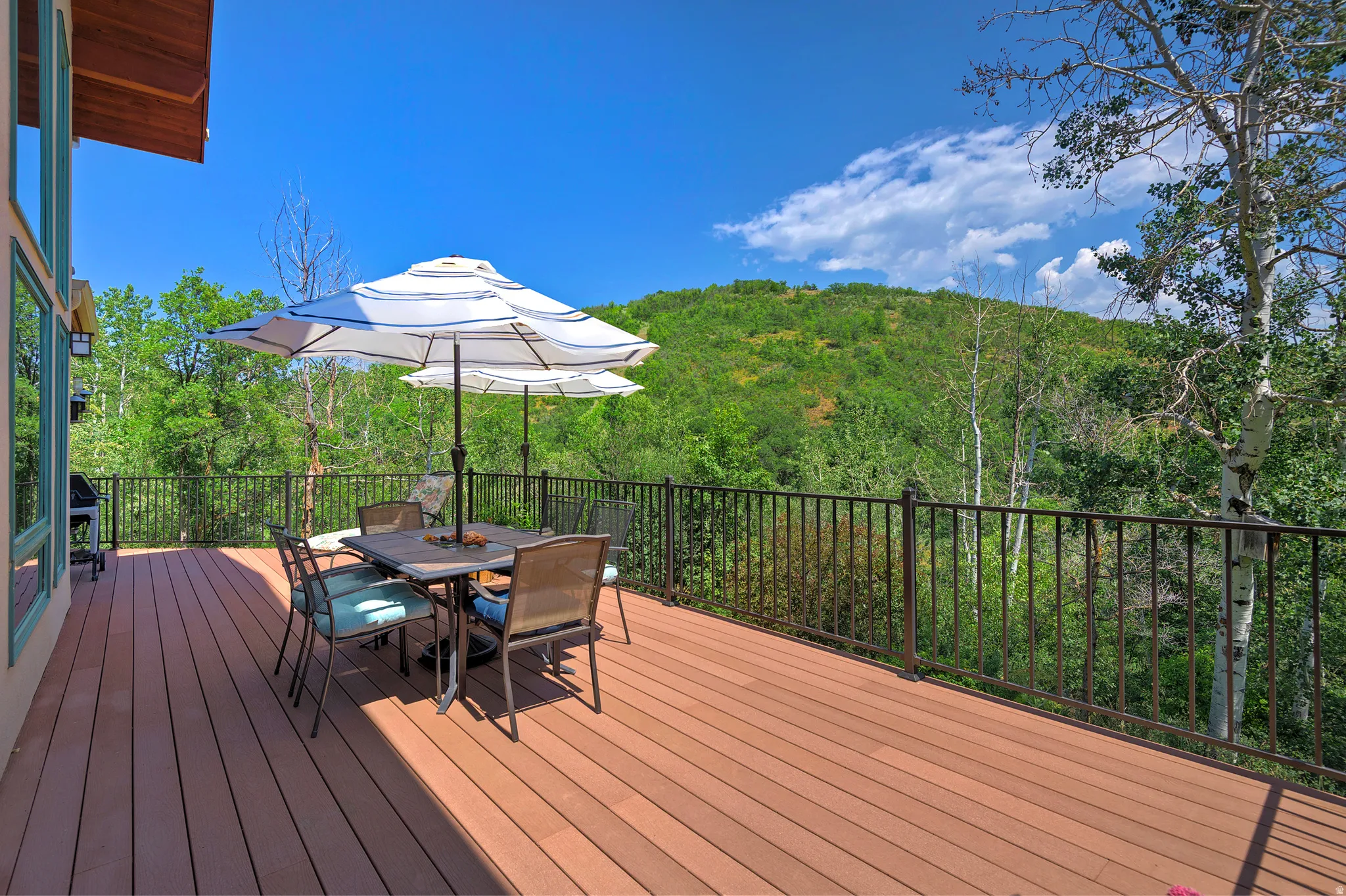 Expansive outdoor deck featuring wood-finish flooring, a black metal railing, and direct access from the interior