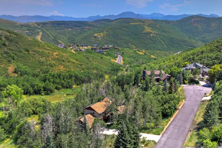 Expansive mountain landscape featuring verdant hillsides, mature trees, and a distant winding road
