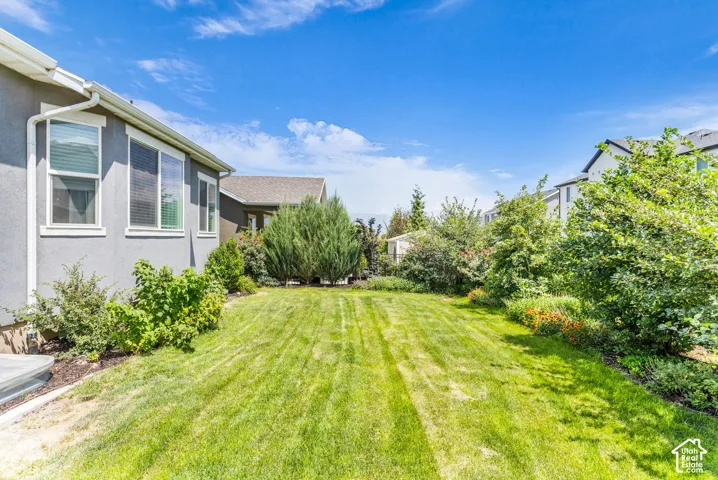 Expansive lawn area bordered by mature shrubs and perennial planting beds