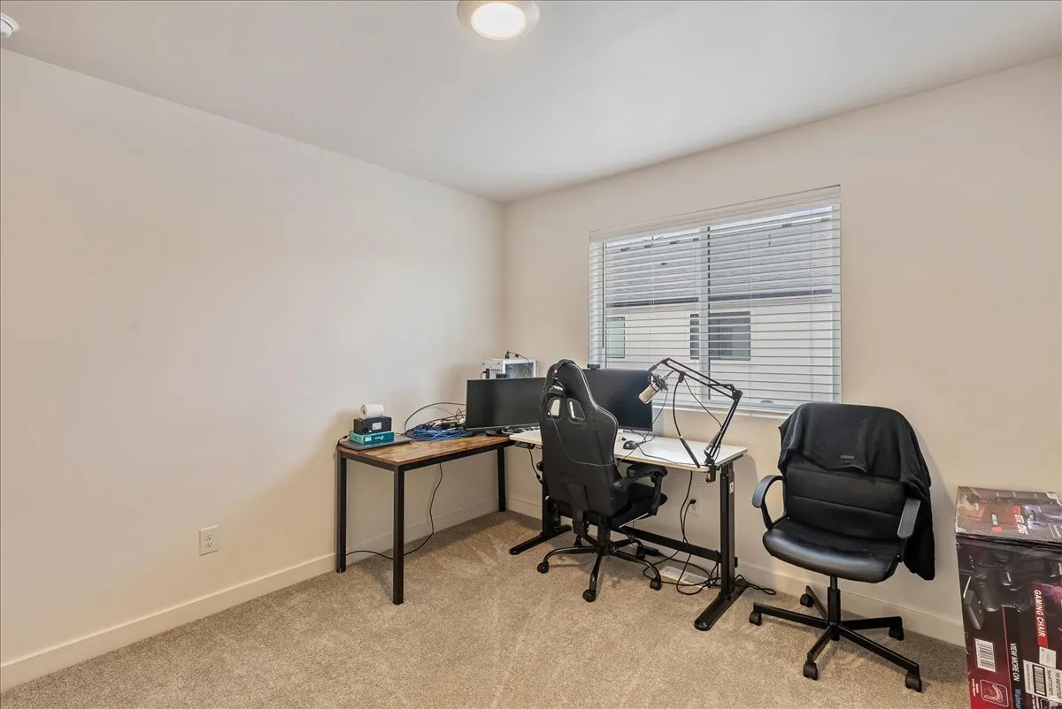 Carpeted room featuring a single window with blinds, a white ceiling, and light-colored walls