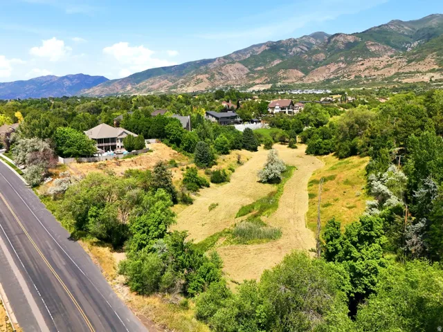 Expansive undeveloped lot featuring varied topography and established trees