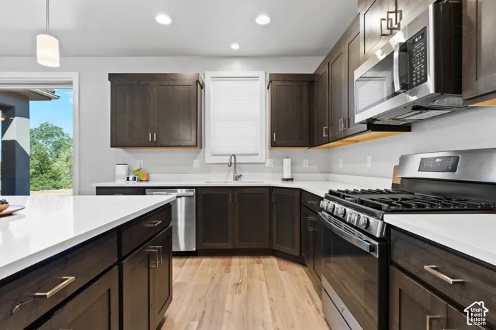 Modern kitchen featuring dark wood cabinetry, stainless steel appliances, white countertops, and wood-finish flooring