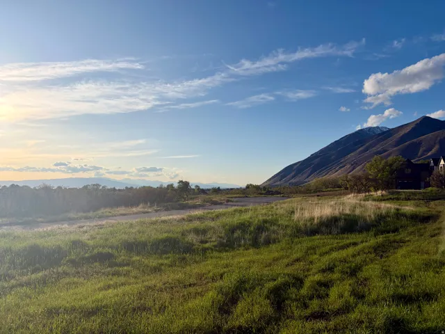 Expansive grassy terrain with mountain backdrop