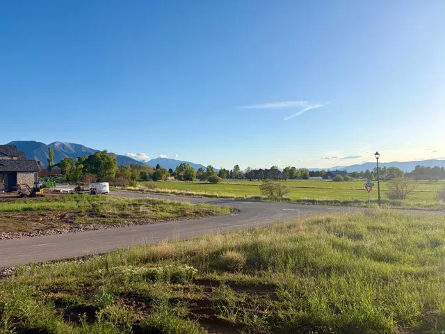 Expansive green fields with distant mountains under a clear sky